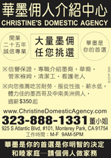 yellow pages ad for christines domestic agency